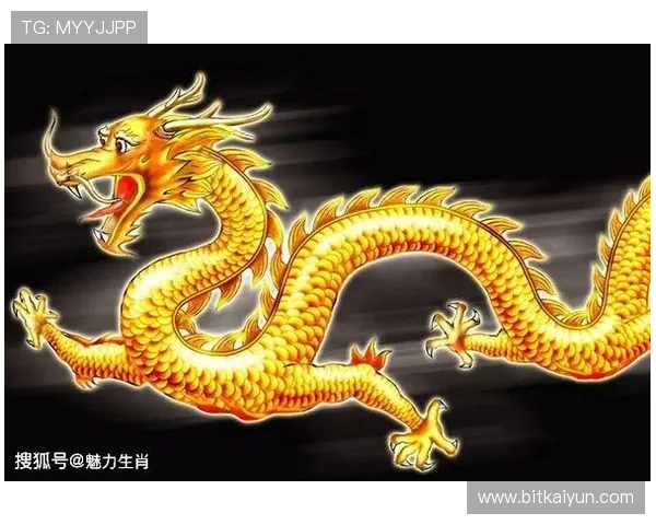 掌握开运手机入口技巧让你在关键时刻迎来人生转折点